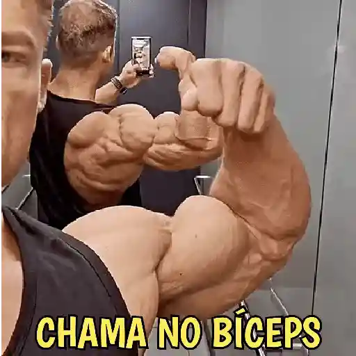 stickers_Gym_Pack_Academia_e_Treino