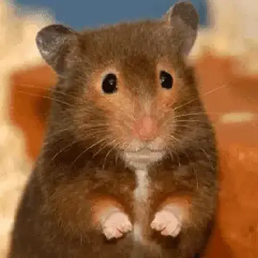 stickers_Animales_Moods🌳🫒