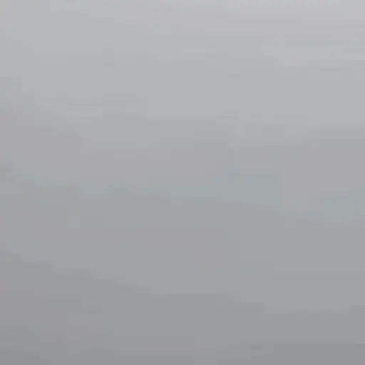 stickers_Animales_Moods🌳🫒