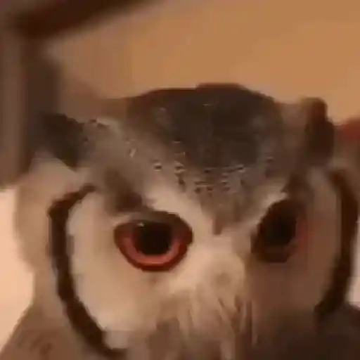 stickers_Animales_Moods🌳🫒