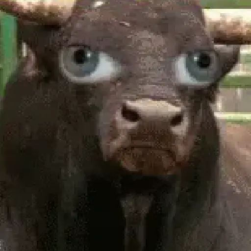 stickers_Animales_Moods🌳🫒