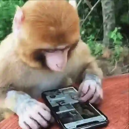 stickers_Monos_Moods🙊🙉