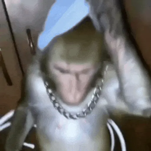 stickers_Monos_Moods🙊🙉