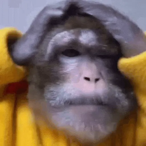 stickers_Monos_Moods🙊🙉