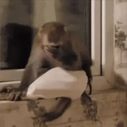 stickers_Monos_Moods🙊🙉