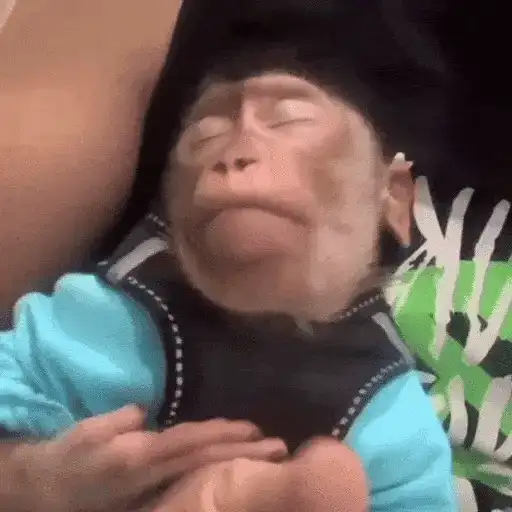 stickers_Monos_Moods🙊🙉