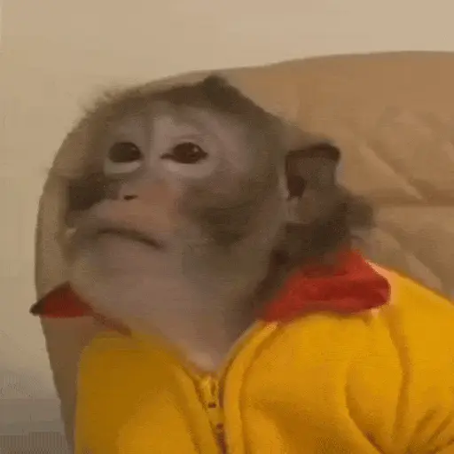 stickers_Monos_Moods🙊🙉