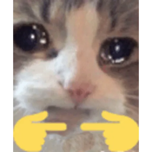 stickers_Gif_random_para_el_chat