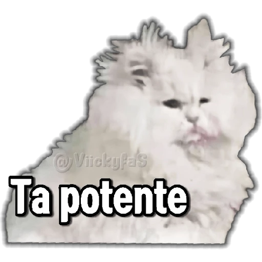 stickers_Porn🔞