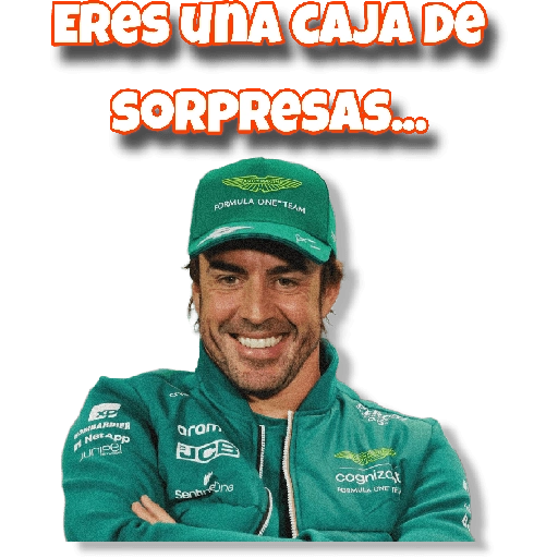 stickers_F1🏁Fernando_Alonso_✔️_