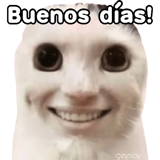 stickers_😸Gatos_sin_orejas_🐈_