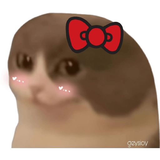 stickers_😸Gatos_sin_orejas_🐈_