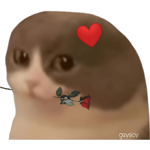 stickers_😸Gatos_sin_orejas_🐈_