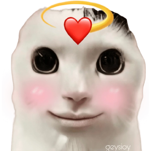 stickers_😸Gatos_sin_orejas_🐈_