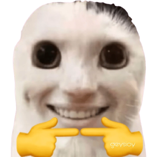 stickers_😸Gatos_sin_orejas_🐈_