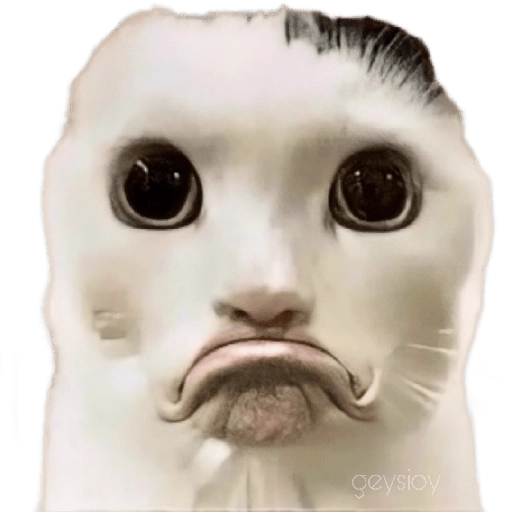stickers_😸Gatos_sin_orejas_🐈_