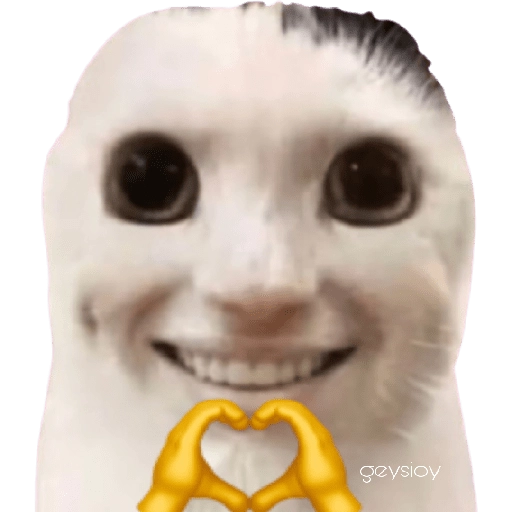 stickers_😸Gatos_sin_orejas_🐈_