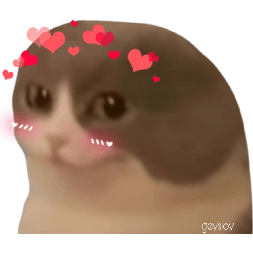 stickers_😸Gatos_sin_orejas_🐈_
