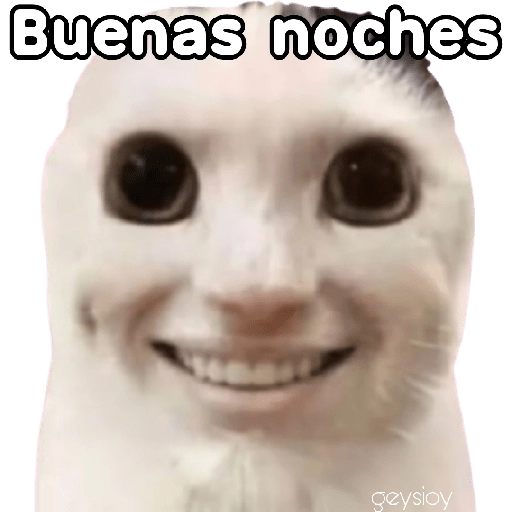 stickers_😸Gatos_sin_orejas_🐈_