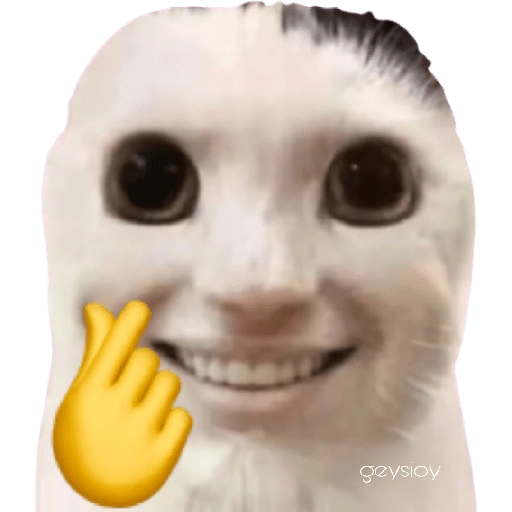 stickers_😸Gatos_sin_orejas_🐈_