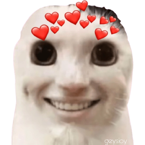 stickers_😸Gatos_sin_orejas_🐈_