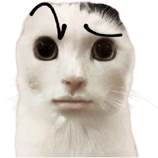 stickers_😸Gatos_sin_orejas_🐈_