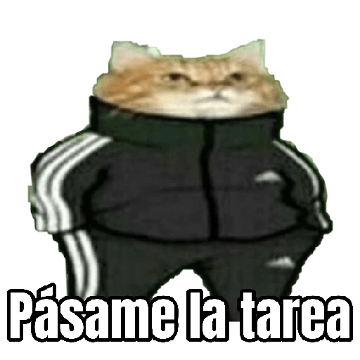 stickers_Memes_Randoms_Para_Enviar_