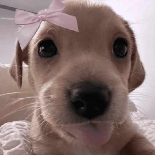 stickers_Porn🔞