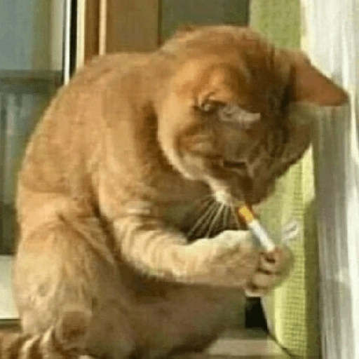 stickers_Porn🔞