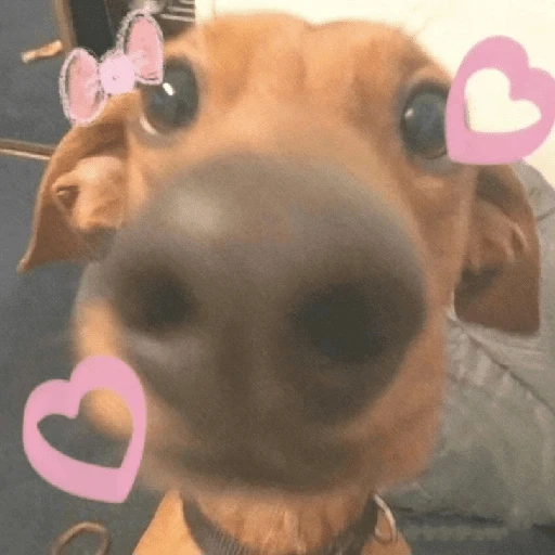 stickers_Porn🔞