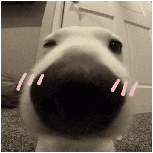stickers_Porn🔞