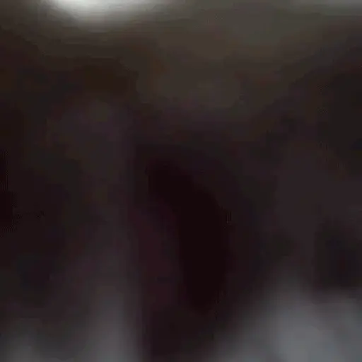stickers_Porn🔞