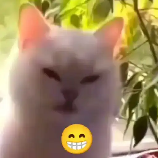 stickers_Porn🔞