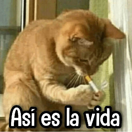 stickers_Porn🔞