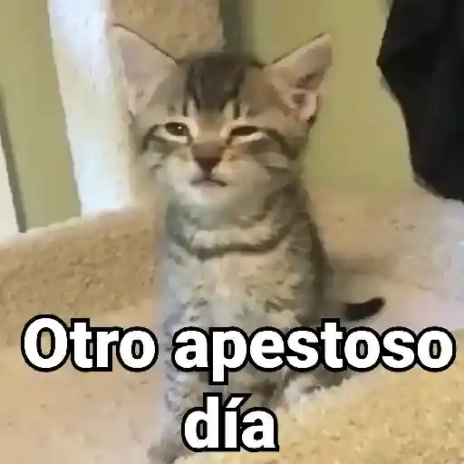 stickers_Porn🔞