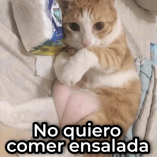 stickers_Porn🔞