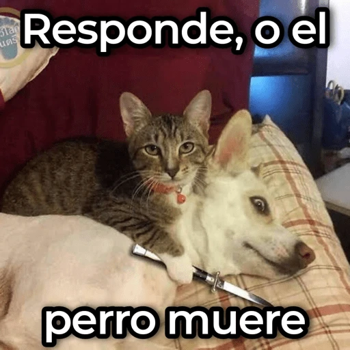 stickers_Porn🔞