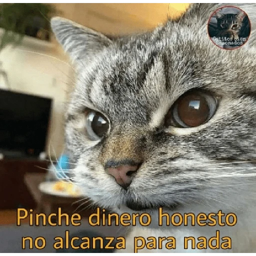 stickers_Porn🔞
