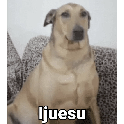 stickers_Waos_-_Perro_con_cejas🐶_