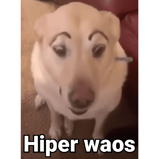 stickers_Waos_-_Perro_con_cejas🐶_