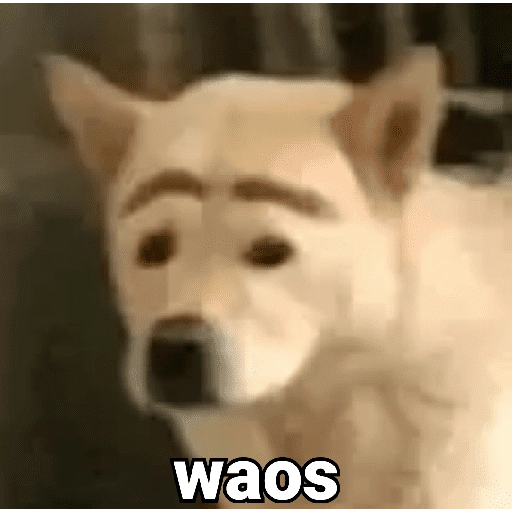 stickers_Waos_-_Perro_con_cejas🐶_