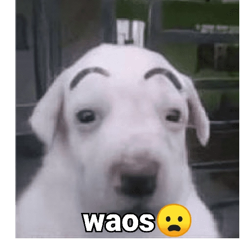 stickers_Waos_-_Perro_con_cejas🐶_