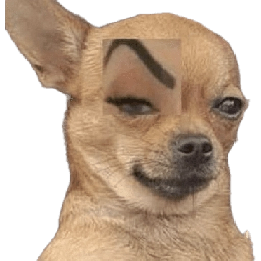 stickers_Waos_-_Perro_con_cejas🐶_