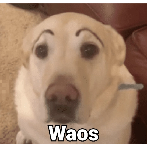 stickers_Waos_-_Perro_con_cejas🐶_