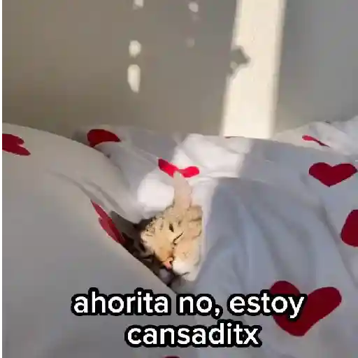 stickers_Estoy_cansado_jefe_😫__