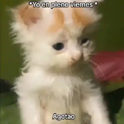 stickers_Estoy_cansado_jefe_😫__