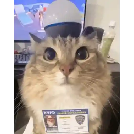 stickers_noo_la_policía_noo🚔🚨