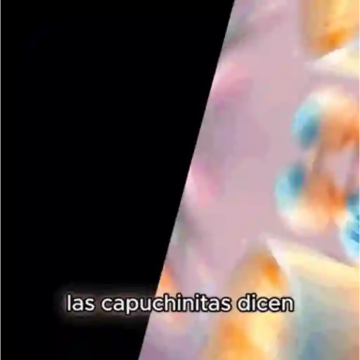stickers_🦈_Los_tralaleritos_dicen_💀