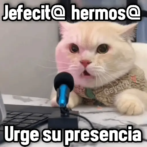 stickers_💫_conTrabajo_estudio_🤣❣️