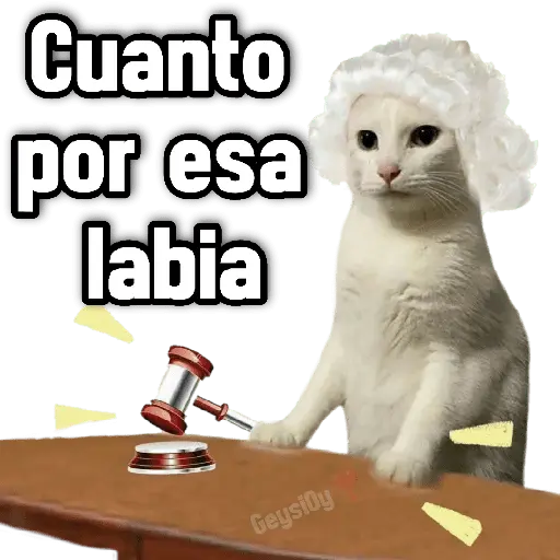 stickers_💫_conTrabajo_estudio_🤣❣️